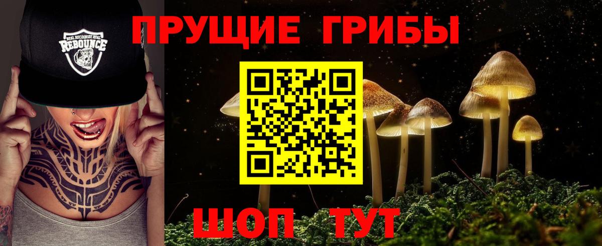 Псилоцибиновые грибы GOLDEN TEACHER  Вход с VPN  Псилоцибиновые грибы Cubensis  Тамбов 